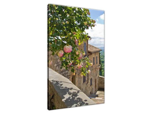 Štýlový obraz Ruže na balkóne