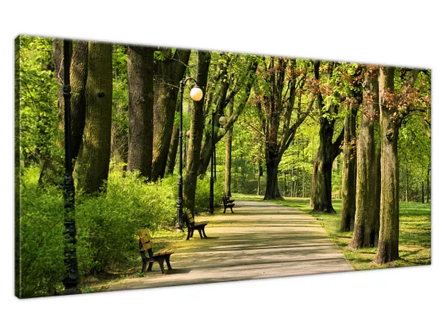 Obraz na plátne Citadel Park