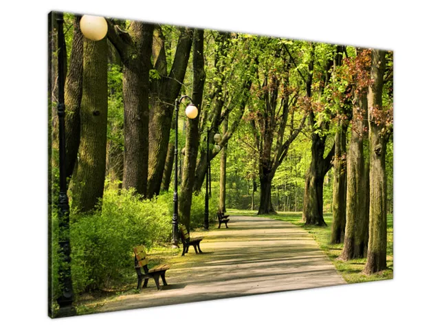 Obraz na plátne Citadel Park