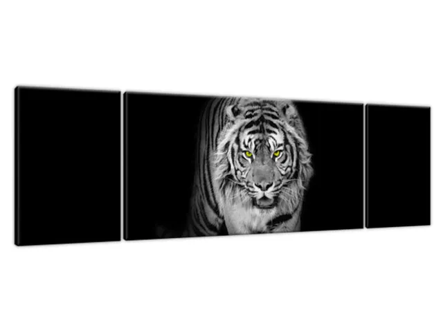 Obraz na stenu Tiger v mraku