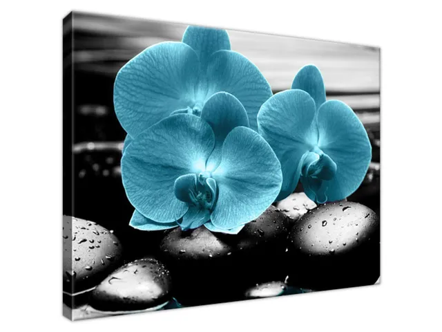 Obraz Orchidea a kamene