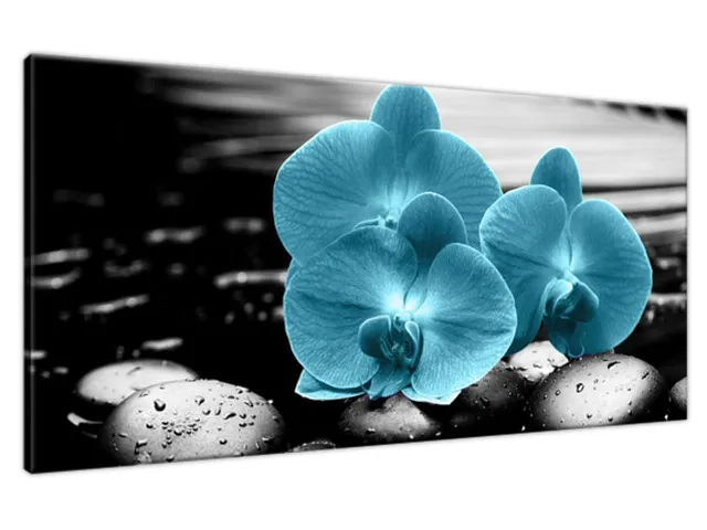 Obraz Orchidea a kamene