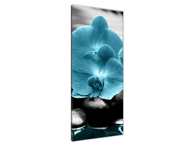 Obraz Orchidea a kamene
