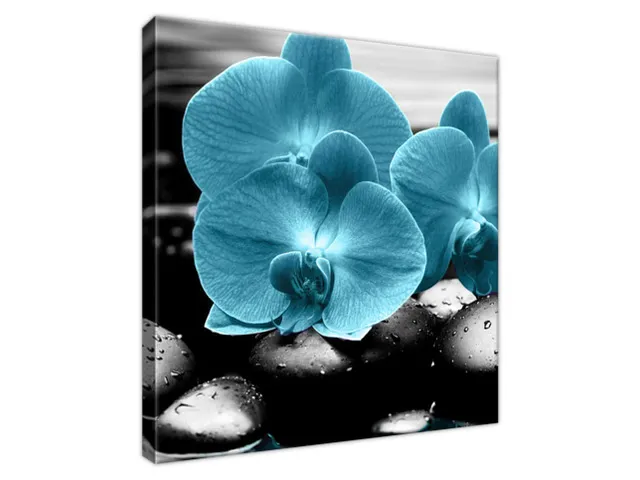 Obraz Orchidea a kamene