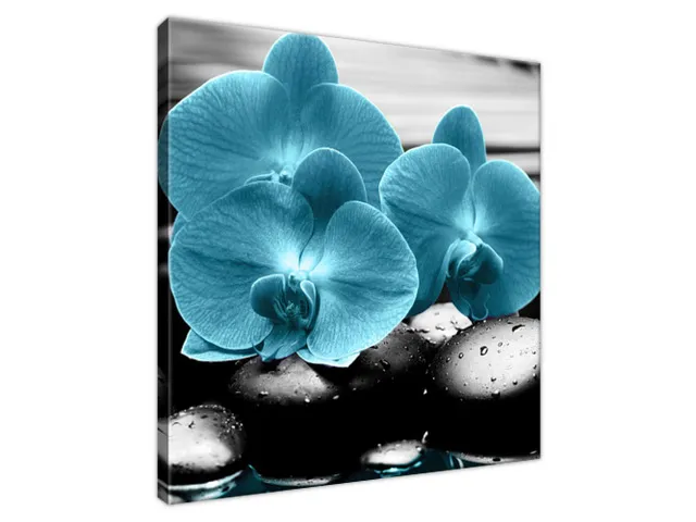 Obraz Orchidea a kamene