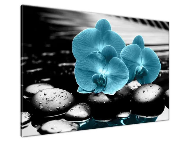 Obraz Orchidea a kamene