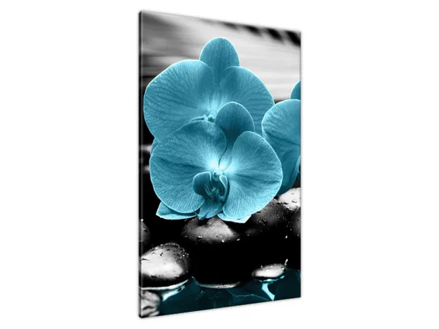 Obraz Orchidea a kamene