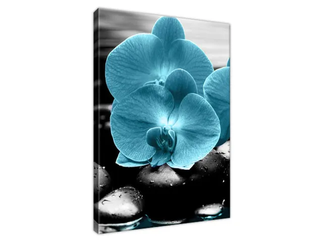 Obraz Orchidea a kamene