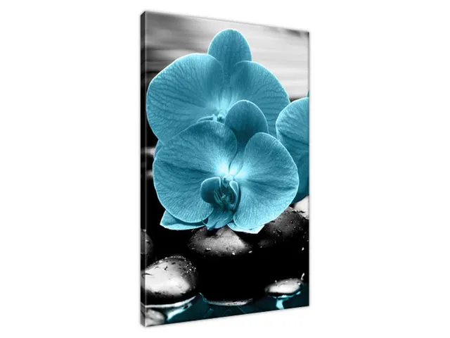 Obraz Orchidea a kamene