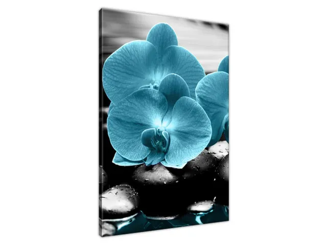 Obraz Orchidea a kamene