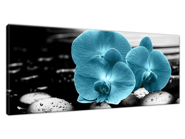 Obraz Orchidea a kamene
