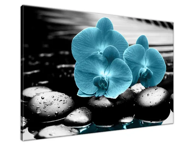 Obraz Orchidea a kamene