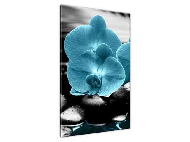 Obraz Orchidea a kamene