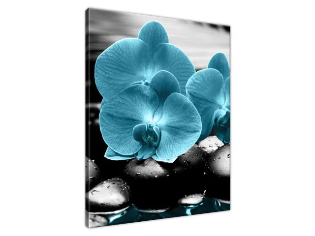 Obraz Orchidea a kamene