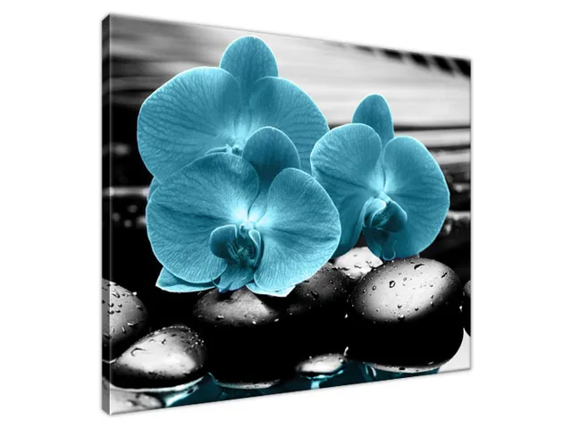 Obraz Orchidea a kamene