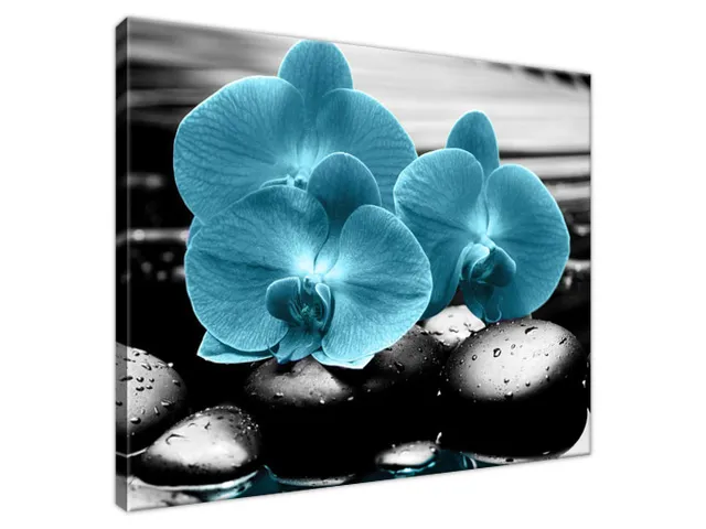 Obraz Orchidea a kamene