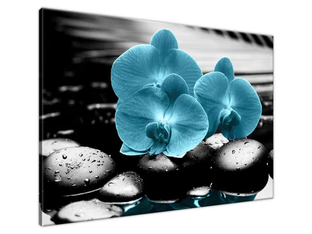 Obraz Orchidea a kamene