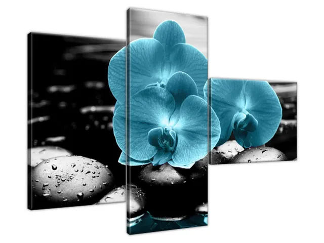 Obraz Orchidea a kamene
