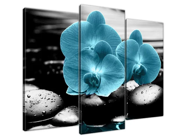Obraz Orchidea a kamene