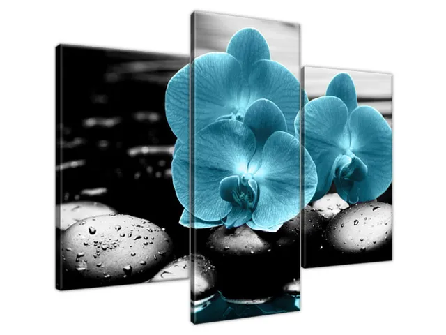Obraz Orchidea a kamene