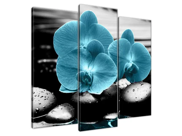 Obraz Orchidea a kamene