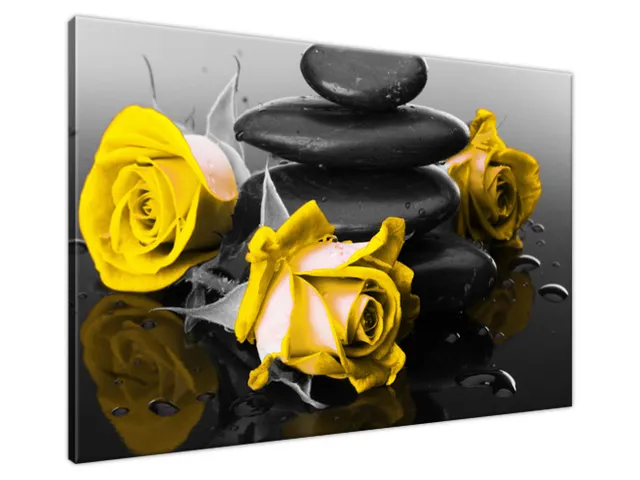 Moderný obraz Roses and spa