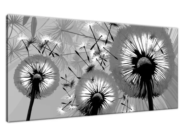 Obraz na stenu Čierno biele púpavy