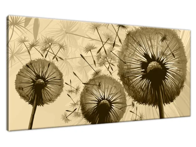 Moderný obraz na stenu Púpavy na krémovom pozadí