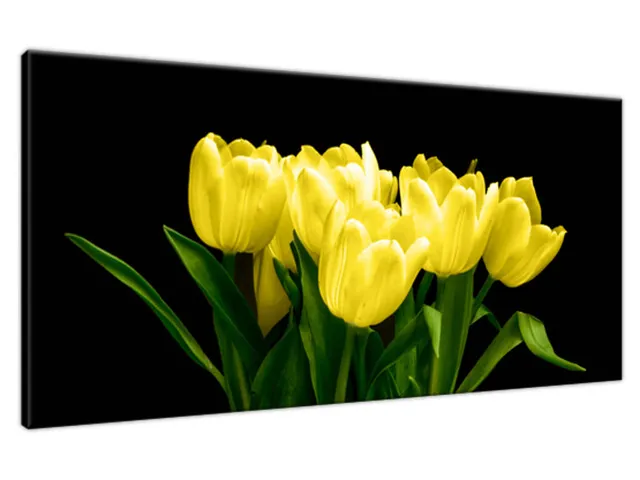 Obraz na plátne Žlté tulipány - Mark Freeth