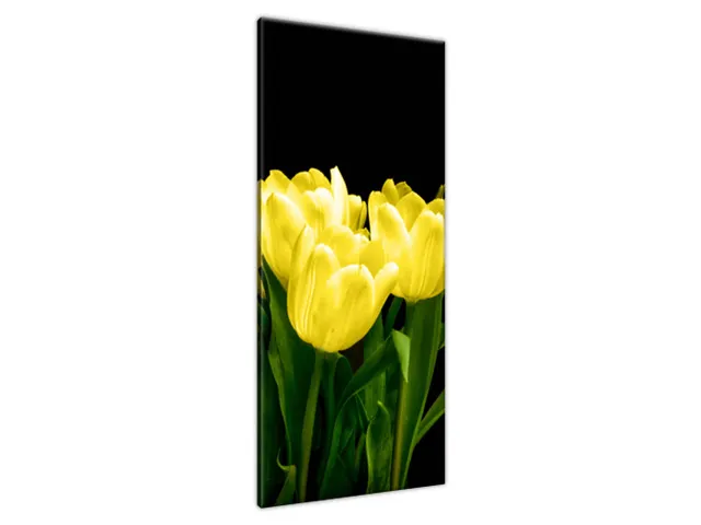 Obraz na plátne Žlté tulipány - Mark Freeth