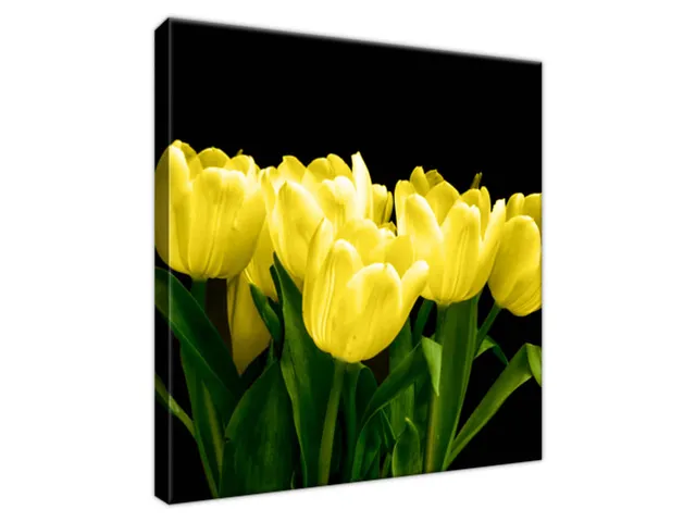 Obraz na plátne Žlté tulipány - Mark Freeth