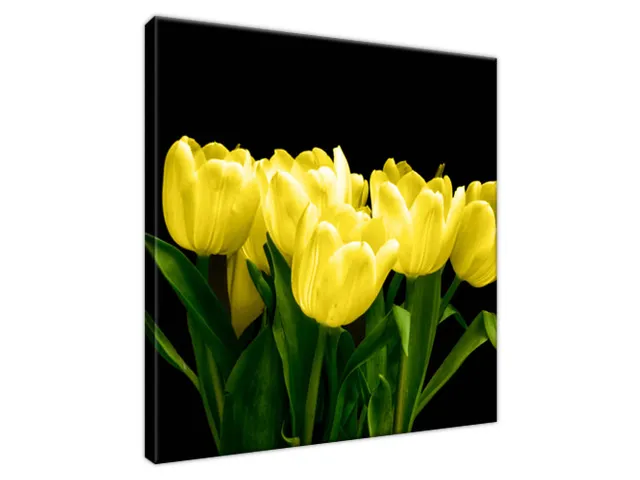 Obraz na plátne Žlté tulipány - Mark Freeth