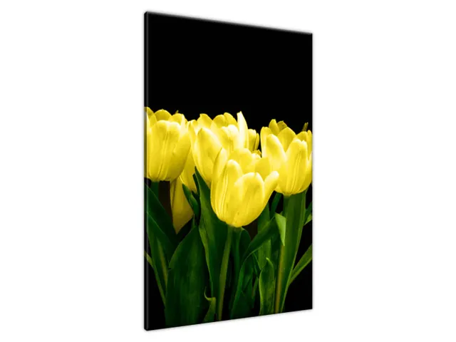 Obraz na plátne Žlté tulipány - Mark Freeth