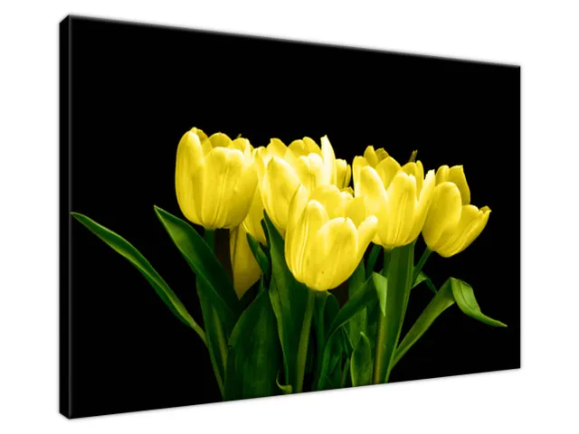 Obraz na plátne Žlté tulipány - Mark Freeth