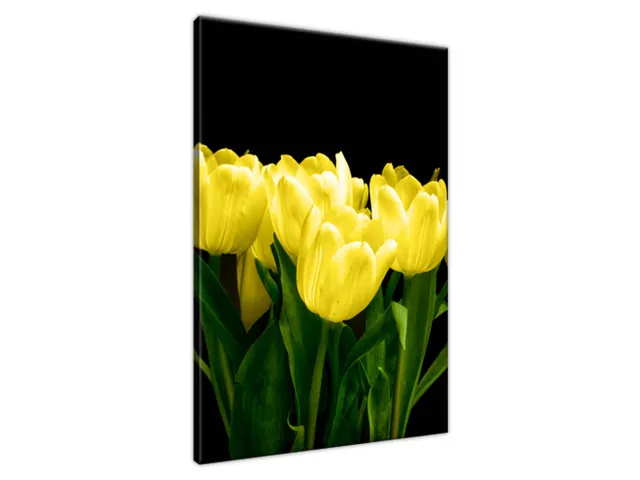Obraz na plátne Žlté tulipány - Mark Freeth