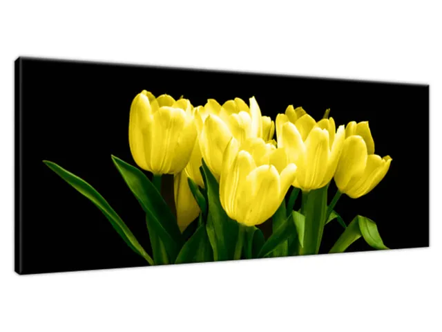 Obraz na plátne Žlté tulipány - Mark Freeth