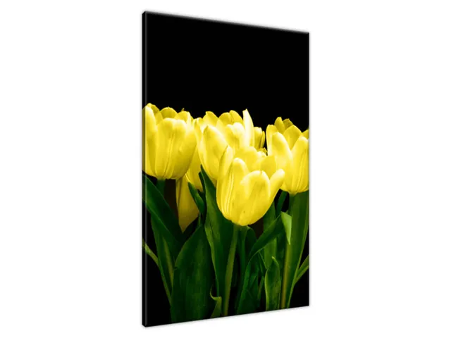Obraz na plátne Žlté tulipány - Mark Freeth