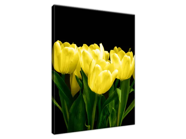 Obraz na plátne Žlté tulipány - Mark Freeth