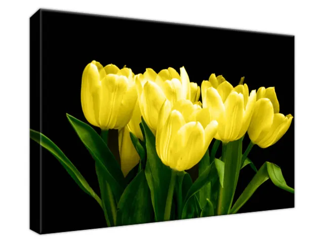 Obraz na plátne Žlté tulipány - Mark Freeth