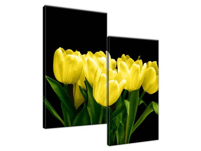 Obraz na plátne Žlté tulipány - Mark Freeth