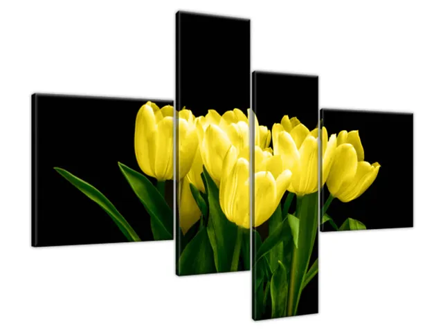 Obraz na plátne Žlté tulipány - Mark Freeth