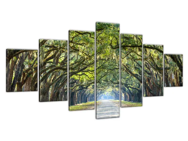 Dubová alej na plantáži Wormsloe
