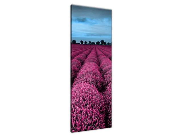 Obraz Ohromujúca krajina s levanduľou vo fuchsiovej farbe