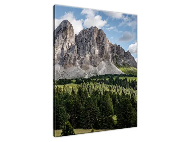 Moderný obraz na stenu Výhľad na hory