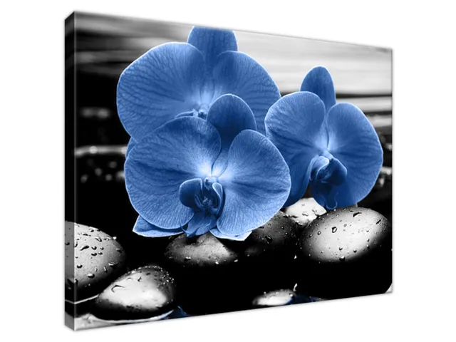 Luxusný obraz Modré orchidey