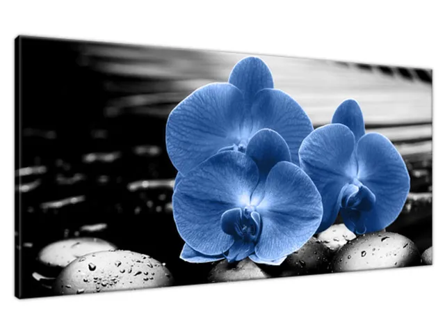 Luxusný obraz Modré orchidey