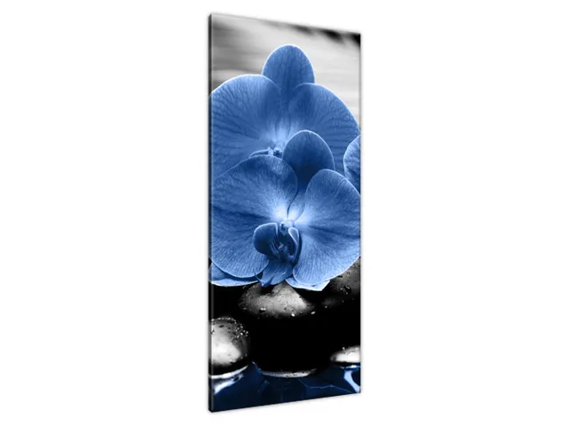 Luxusný obraz Modré orchidey