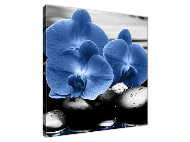 Luxusný obraz Modré orchidey