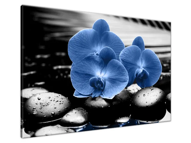 Luxusný obraz Modré orchidey