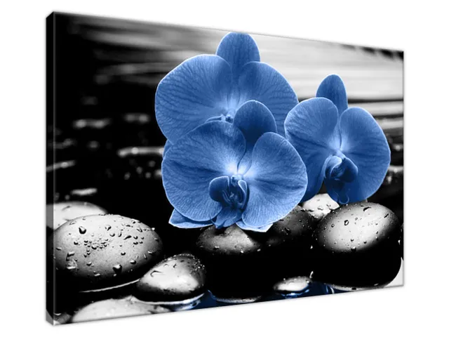 Luxusný obraz Modré orchidey